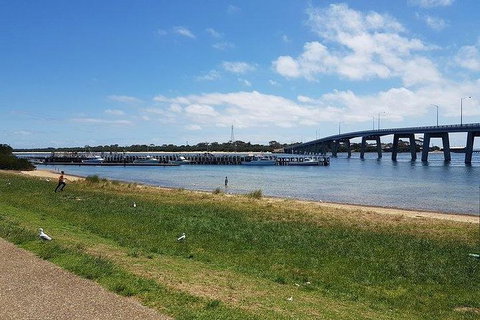 Phillip Island Penguin And Wildlife Tour - Accommodation Southport 24