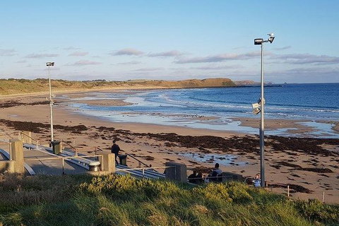 Phillip Island Penguin And Wildlife Tour - Accommodation Southport 8