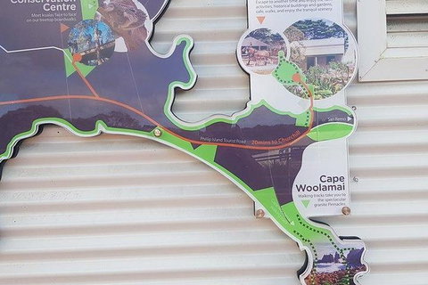 Phillip Island Penguin And Wildlife Tour - Accommodation Southport 29