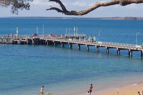 Phillip Island Penguin And Wildlife Tour - Accommodation Southport 2