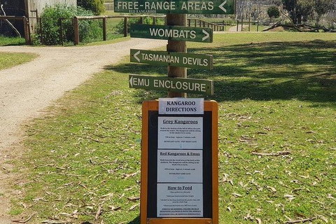 Phillip Island Penguin And Wildlife Tour - Accommodation Southport 4