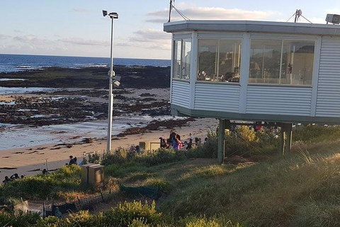 Phillip Island Penguin And Wildlife Tour - Accommodation Southport 33