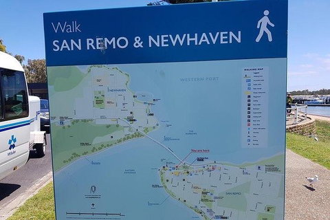 Phillip Island Penguin And Wildlife Tour - Accommodation Southport 35