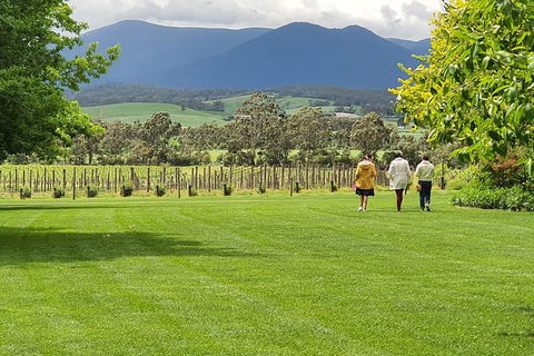 Yarra Valley Wine Tasting Day Tour From Melbourne - Southport Accommodation 6