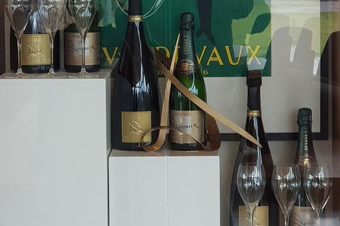 Yarra Valley Wine Tasting Day Tour From Melbourne - Southport Accommodation 2