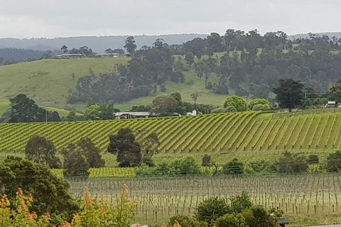 Yarra Valley Wine Tasting Day Tour From Melbourne - Southport Accommodation 0