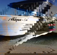 Coral Bay 1-Hour Coral Viewing - Southport Accommodation