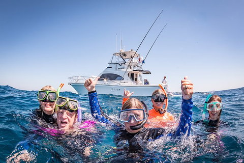 Life On Ningaloo Swimming Tour In Exmouth - Accommodation Southport 4