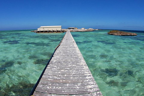 Abrolhos Islands 5 Day Tours - Accommodation Southport 4