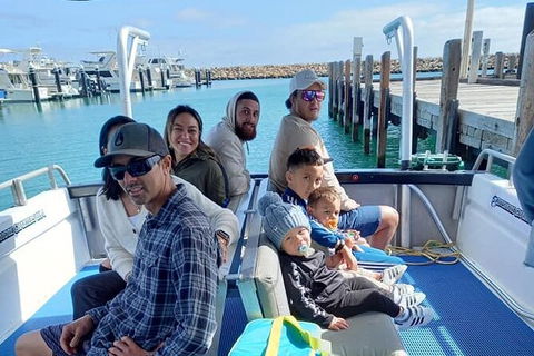 Whale Watching Boat Tour In Geraldton - Southport Accommodation 1