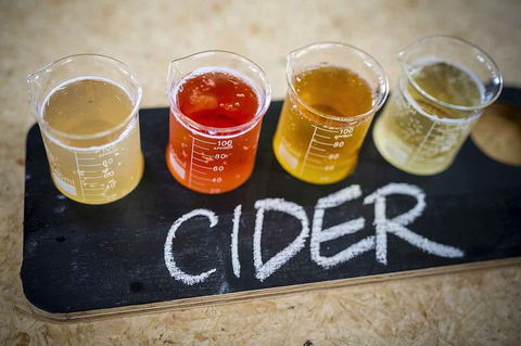 Bickley Valley Wine & Cider Tour - Premium Small Group Tour - Southport Accommodation 1
