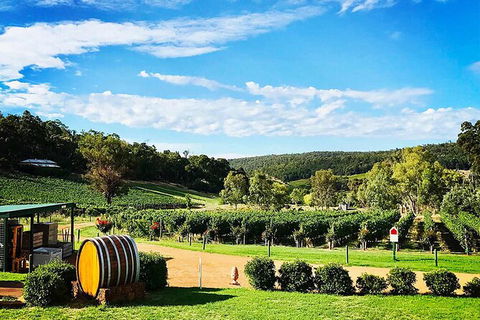 Bickley Valley Wine & Cider Tour - Premium Small Group Tour - Southport Accommodation 0