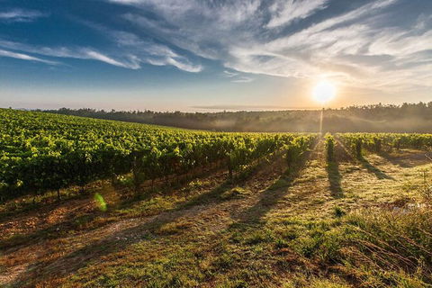 Perth To Margaret River Wine Tour - 2 Day Premium Boutique Wine Tour Experience - Southport Accommodation 0