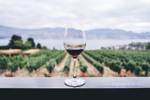 Full-Day Gourmet Wine Tour With Pick Up And Lunch - Southport Accommodation 1