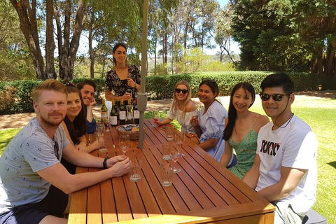 Full-Day Gourmet Wine Tour With Pick Up And Lunch - Southport Accommodation 5