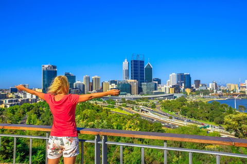 Full-Day Gourmet Wine Tour With Pick Up And Lunch - Southport Accommodation 2