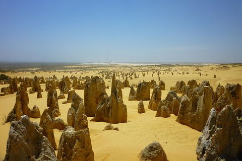 Pinnacles Desert Private Tour - Southport Accommodation 5
