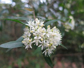 Booderee National Park - Accommodation Southport 0