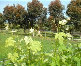 Dreeite South VIC Southport Accommodation