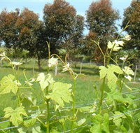 Barwon Ridge Wines - Southport Accommodation