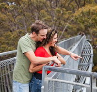 Valley of the Giants Tree Top Walk - Southport Accommodation