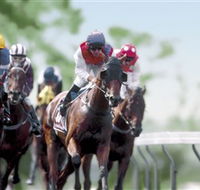 Colac Turf Club - Accommodation Southport