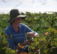 Kingsdale Wines - Southport Accommodation