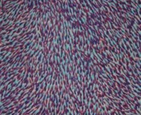 The Gate Gallery - Wollombi - Accommodation Southport 0