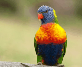 Booderee National Park - Accommodation Southport 1