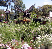 Zanthorrea Nursery - Southport Accommodation