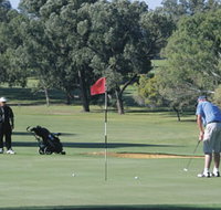 Spalding Park - Accommodation Southport