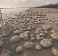 Lake Clifton Thrombolites - Accommodation Southport