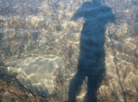 Jervis Bay Stand Up Paddle - Accommodation Southport 3