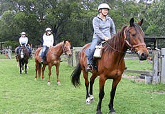 Valhalla Horse Riding - Southport Accommodation 2