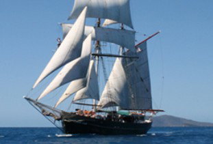 Australian Tallship Cruises - Southport Accommodation 0