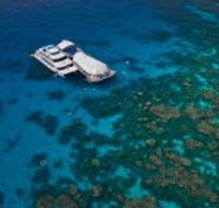 Great Adventures Reef and Green Island Cruises - Southport Accommodation