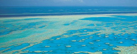 Aristocat Snorkel And Scuba Port Douglas - Accommodation Southport 3