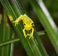 Daintree River Cruise Centre - Southport Accommodation