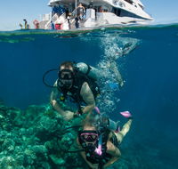 Down Under Cruise and Dive - Southport Accommodation