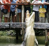 Hartley's Crocodile Adventures - Southport Accommodation