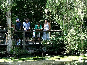 Hartley's Crocodile Adventures - Southport Accommodation 2