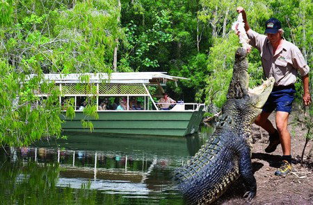 Hartley's Crocodile Adventures - Southport Accommodation 6