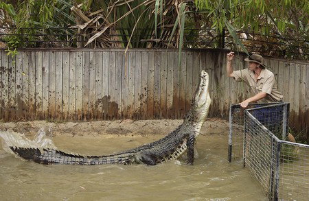 Hartley's Crocodile Adventures - Southport Accommodation 8