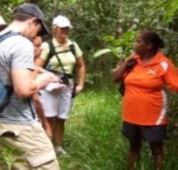 Ingan Tours - Spirit of the Rainforest Tour - Southport Accommodation