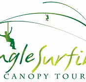 Jungle Surfing Canopy Tours and Jungle Adventures Nightwalks - Southport Accommodation