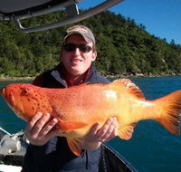 Gone Fishing by Coral Sea Fishing Charters Airlie Beach - Southport Accommodation