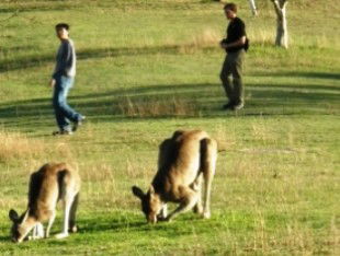Southern Queensland Country QLD Southport Accommodation