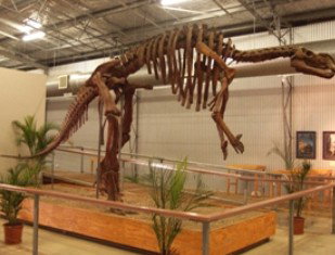 Winton QLD Southport Accommodation