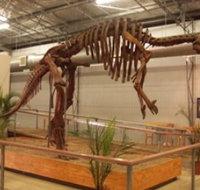 Australia's Dinosaur Trail - Southport Accommodation