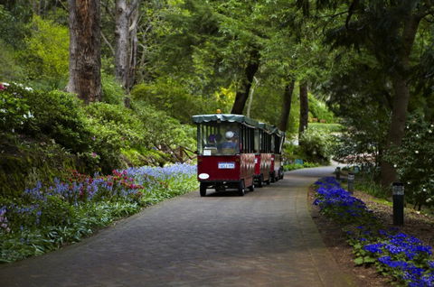Araluen Botanic Park - Southport Accommodation 0